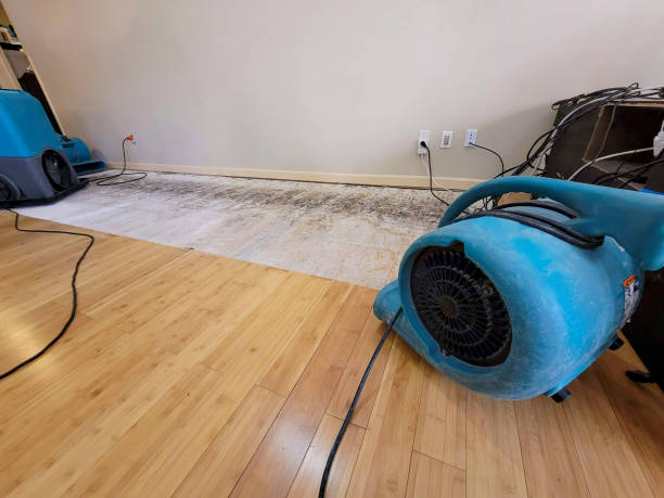 Professional Ceiling Water Damage Repair technician working in Carlton, PA